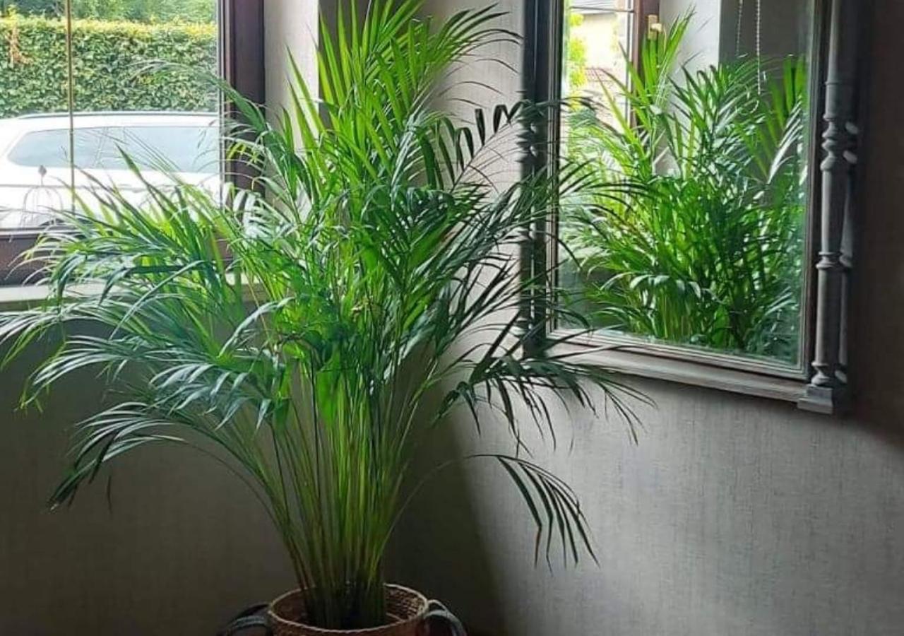 Vakantiewoning - 'T Ouwershuys Opoeteren ภายนอก รูปภาพ